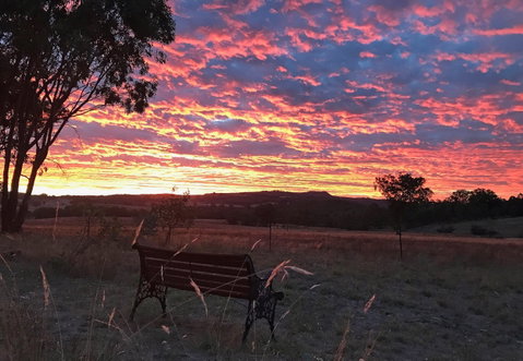 The Woolshed Cabins - Lismore Accommodation 7