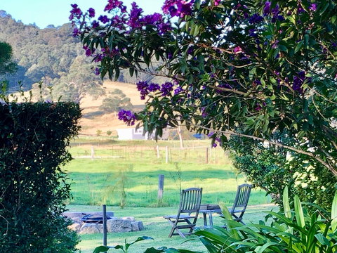 Arcadia Cottages At Cambewarra - Lismore Accommodation 5