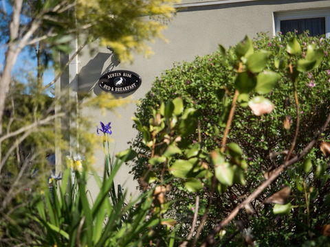 Austin Rise B&B - Lismore Accommodation 1