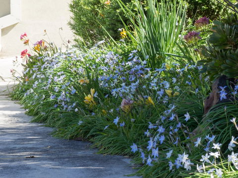 Austin Rise B&B - Lismore Accommodation 2
