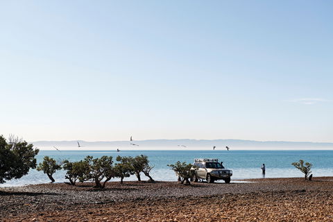 Camping At Point Lowly & Fitzgerald Bay - Lismore Accommodation 0
