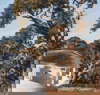 Coonawarra Bubble Tents - Lismore Accommodation