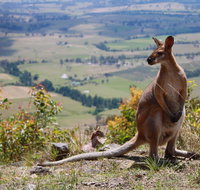 Eaglereach Wilderness Resort - Lismore Accommodation