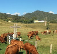 Farringdon Homestead - Lismore Accommodation