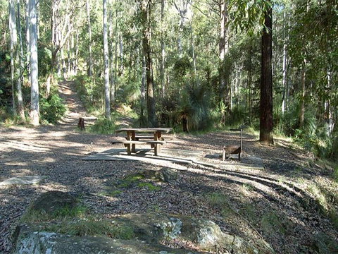 Gap Creek Campground - Lismore Accommodation 1