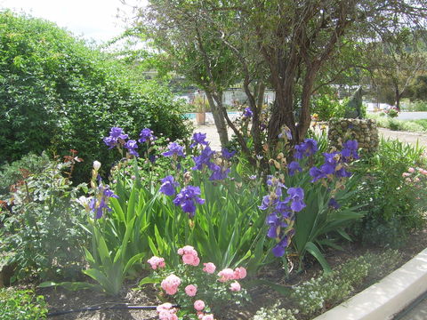 Garden Motor Inn (Golden Chain) - Lismore Accommodation 7