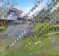 Gold Coast Tree Houses - Lismore Accommodation