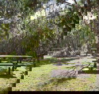 Illaroo group camping area - Lismore Accommodation