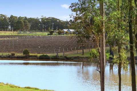 Ironbark Hill Villas - Lismore Accommodation 9