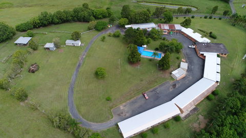 Jacaranda Motor Lodge And Moos Restaurant - Lismore Accommodation 0