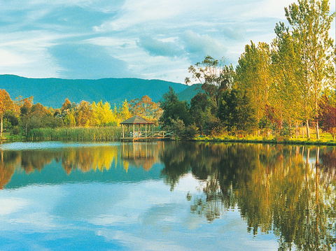 Kingbilli - Lismore Accommodation 0