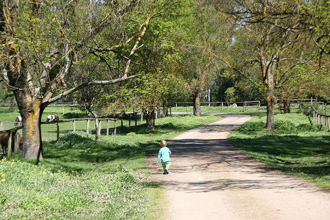 Kingbilli - Lismore Accommodation 3