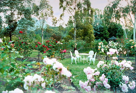 Kingbilli - Lismore Accommodation 4