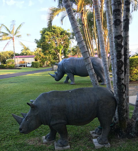 Sarina Palms Caravan Village - Lismore Accommodation 9