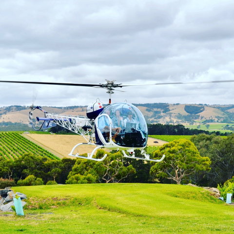 The Vineyard Retreat McLaren Vale - Lismore Accommodation 6