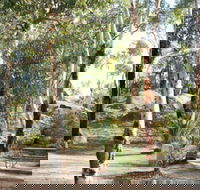 Bald Hill  Camp at Avon Valley National Park - Lismore Accommodation