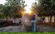 Bullo River Station - thumb 2