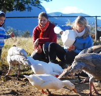Cedar Glen Farmstay - Lismore Accommodation