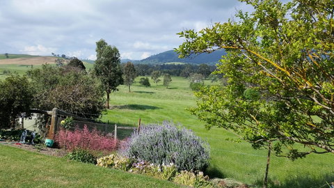 Cheviot Glen Cottages - Lismore Accommodation 2