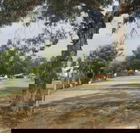 Country Acres Caravan Park - Lismore Accommodation