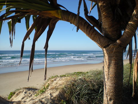 Horizons At Peregian - Lismore Accommodation 0