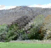 Jessica's Guest House and Vineyard - Lismore Accommodation