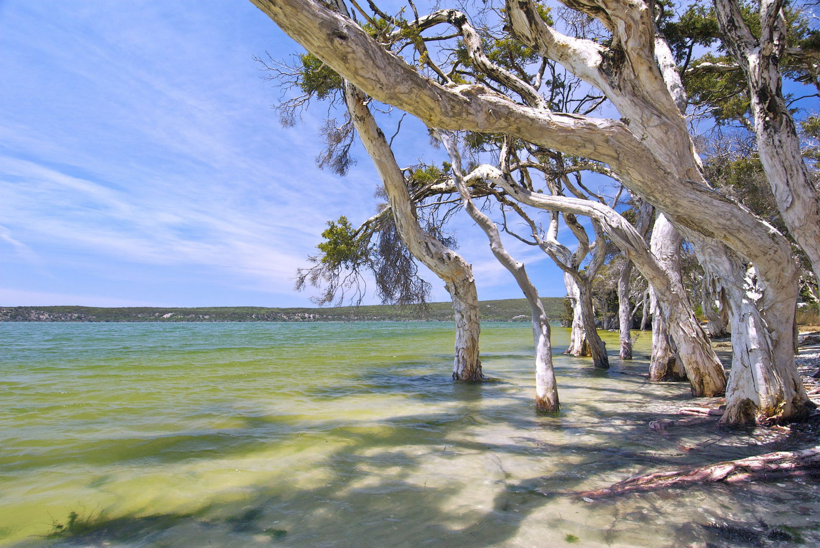  Lismore Accommodation