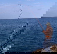 North Head Camping Area - Lismore Accommodation