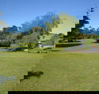 Pine Country Caravan Park - Pet Friendly - Lismore Accommodation