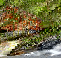 The Mouses House - Rainforest Retreat - Lismore Accommodation