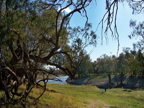 Yanda Campground - Lismore Accommodation 0