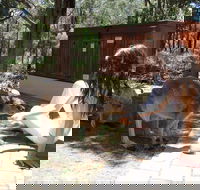 Yelverton Brook Eco Spa Retreat and Conservation Sanctuary - Lismore Accommodation