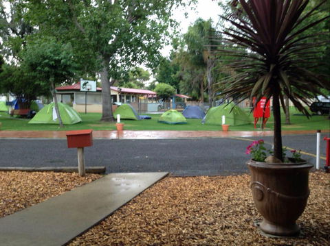 Young Caravan Tourist Park - Lismore Accommodation 0