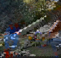 Zeehan Bush Camp - Lismore Accommodation