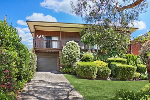 Alva Lee - Lismore Accommodation 0