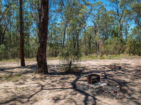 Finchley Campground - Lismore Accommodation 2