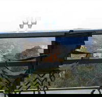 Hatters Hideout Lyres Loft - Lismore Accommodation