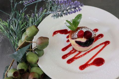 Kilcoy Gardens Motel - Lismore Accommodation 1