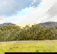 Mountain Arm campground - Lismore Accommodation