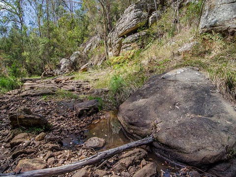 Mountain Arm Campground - Lismore Accommodation 1