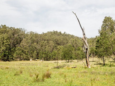 Mountain Arm Campground - Lismore Accommodation 2
