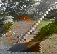 Mudgees Getaway Cottages - Lismore Accommodation