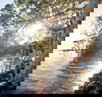 NRMA Myall Shores Holiday Park - Lismore Accommodation