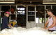 Pelican Sheep Station - thumb 0