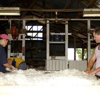 Pelican Sheep Station - Lismore Accommodation