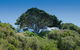 Sorrento Foreshore Camping - thumb 2