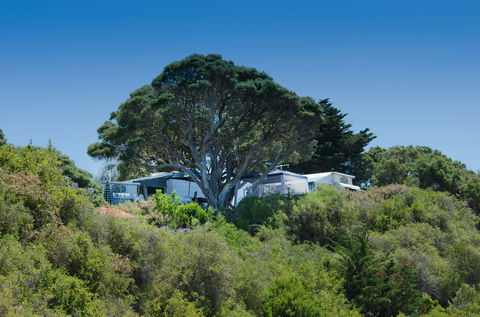 Sorrento Foreshore Camping - Lismore Accommodation 2