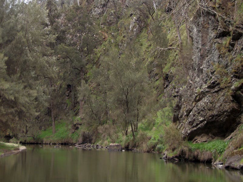 Kingsdale NSW Lismore Accommodation