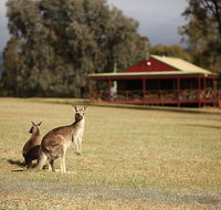 The Pokolbin Cabins - Lismore Accommodation