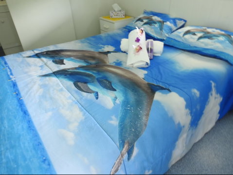 Tropicana Caravan Park Sarina - Lismore Accommodation 2
